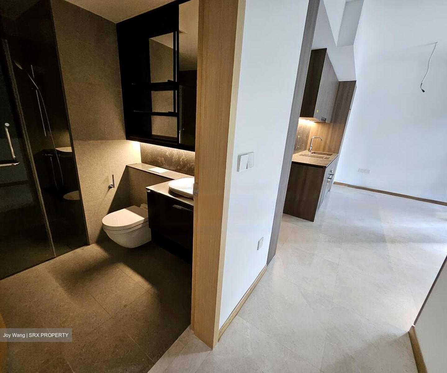 Fyve Derbyshire (D11), Apartment #448415181